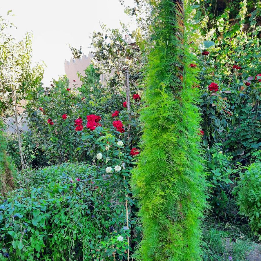 Guest House Khiva Boyjon Ota ภายนอก รูปภาพ