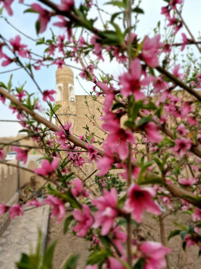 Guest House Khiva Boyjon Ota ภายนอก รูปภาพ